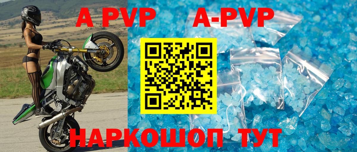 A PVP СК Вышний Волочёк