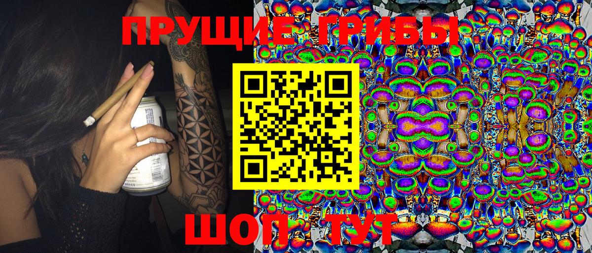 Галлюциногенные грибы прущие грибы  Вход с VPN  Вышний Волочёк 