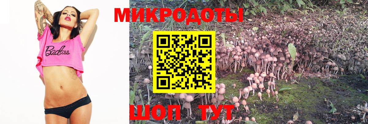 Псилоцибиновые грибы ЛСД Вышний Волочёк